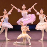 Fairy Ballet Studio